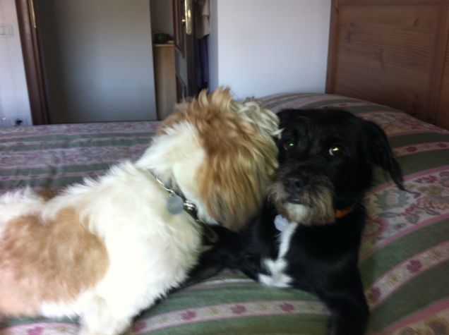 Silvio ed il suo fratellino Charlie ^-^