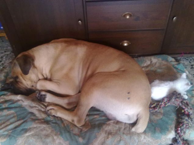 il gigante e la bambina