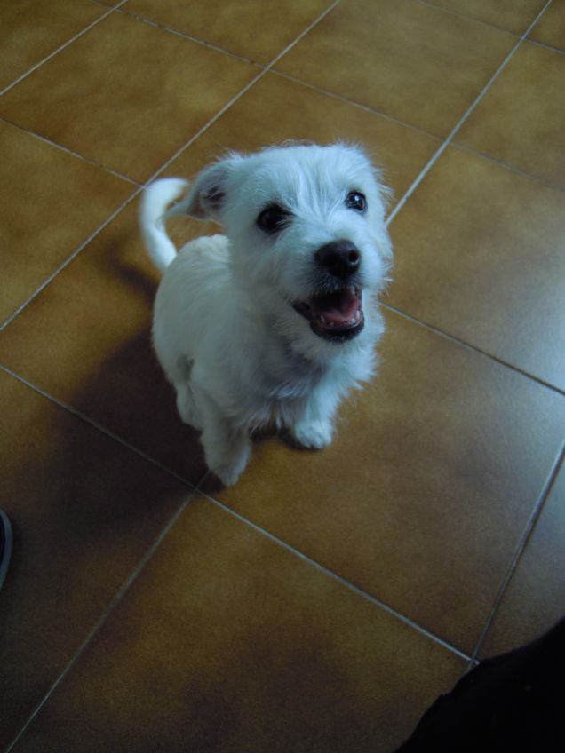 pronto per un'altra monellata