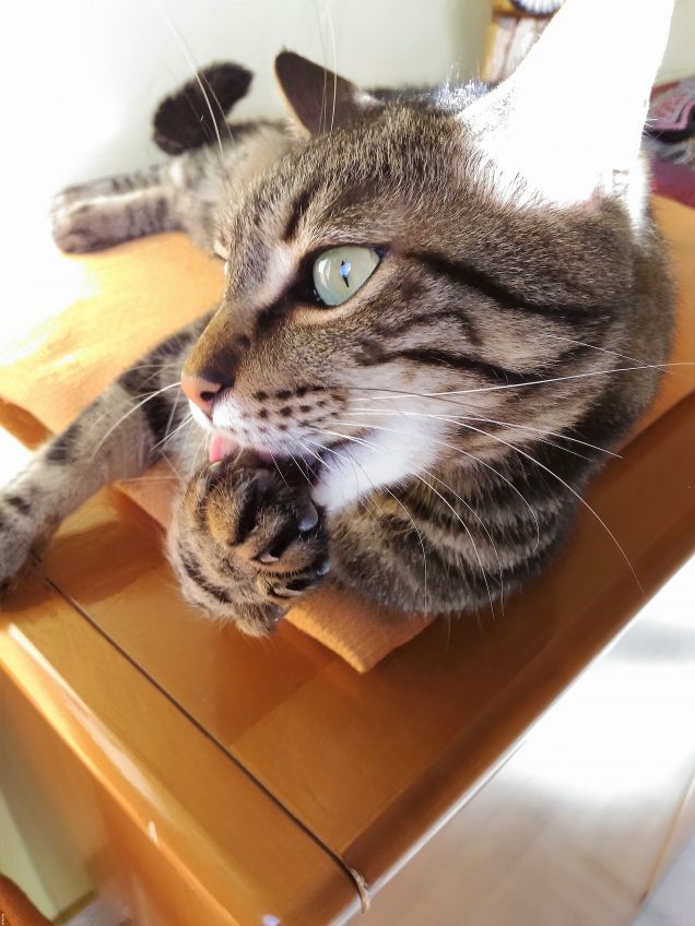 ...igiene innanzitutto!