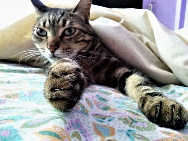 Che pace la domenica!