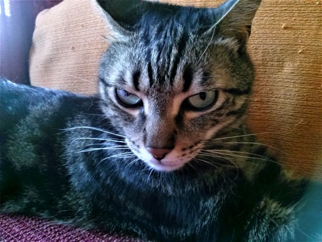 ...e non mi disturbate!