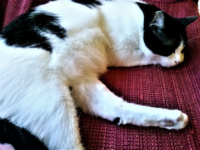 Proprio comodo questo divano!!!