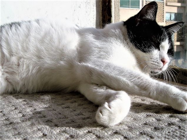 Chissà se mi abbronzo ???