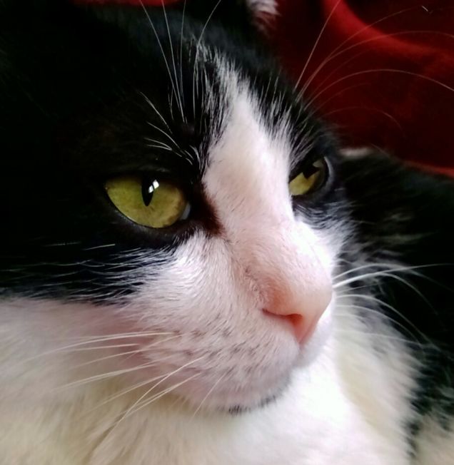 E il selfie pure io!