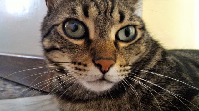 Esco bene nelle foto, vero?