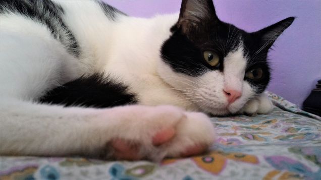 ...quasi  quasi...dormo...