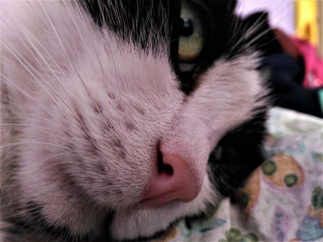 ...lasciatemi dormire!!!