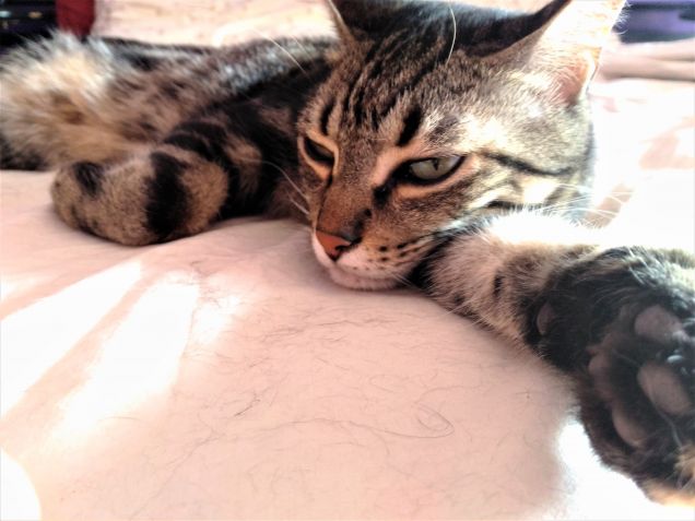 ...troppo stanco per uscire....