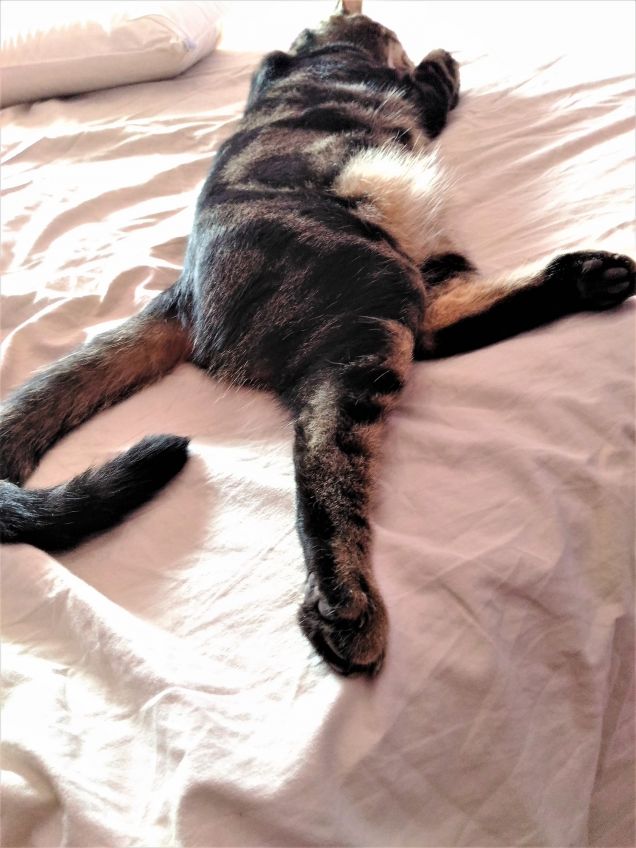 ..non proprio da...foto...