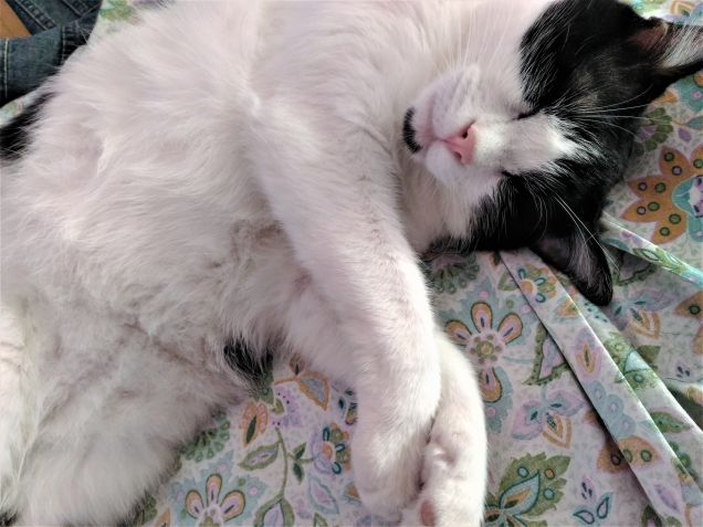 ...sto ancora aspettando....