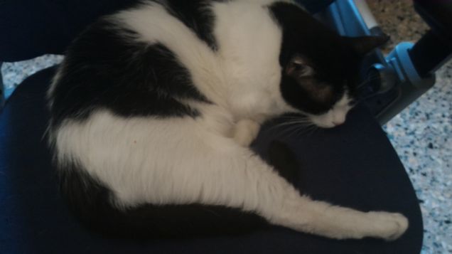 Anch'io sono molto stanco!