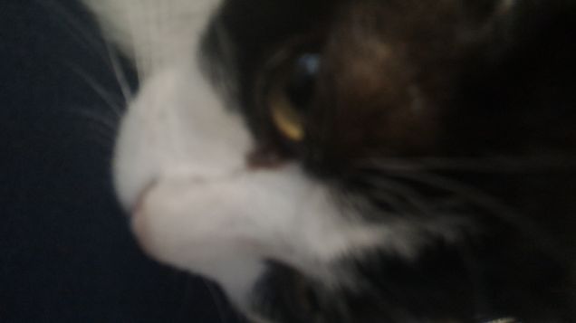 oggi sono pensieroso...