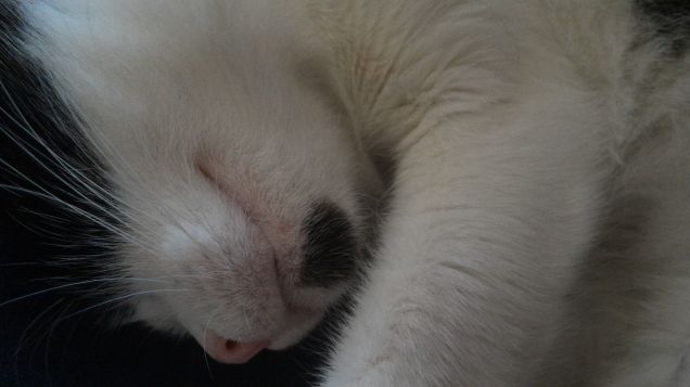 sono calmo.. quando dormo