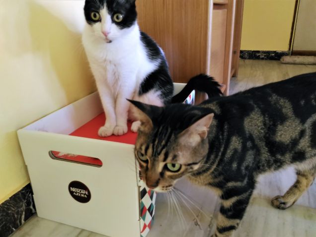 sempre insieme......