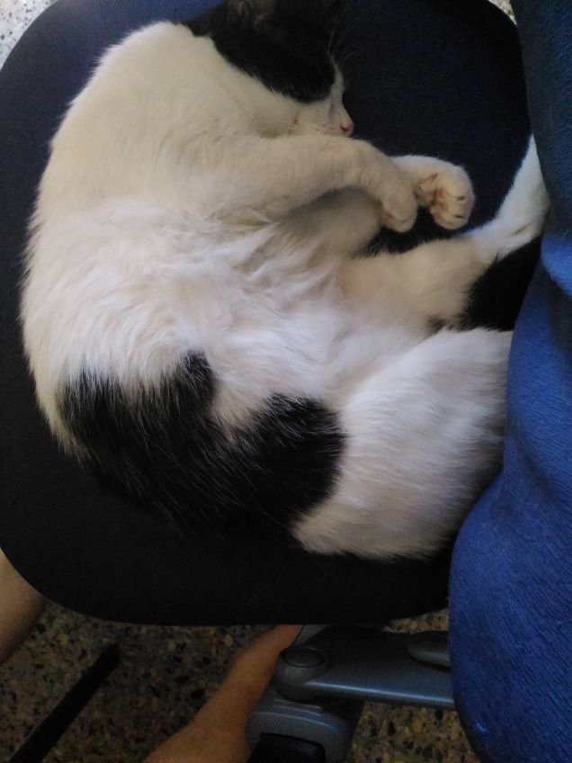 anche la sedia è comoda!!!