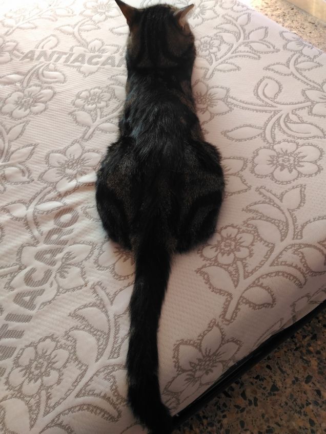 visto da dietro.....