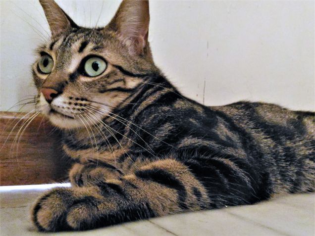 buongiorno anche da me...