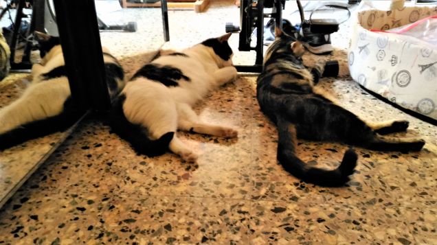 cyclette...non crediamo...