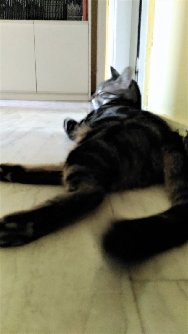 oggi non faccio niente!!!