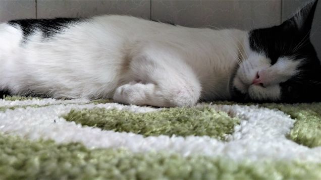 anche oggi ...fa caldo...