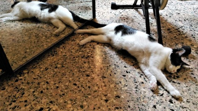 ...doppio...riposo!!!