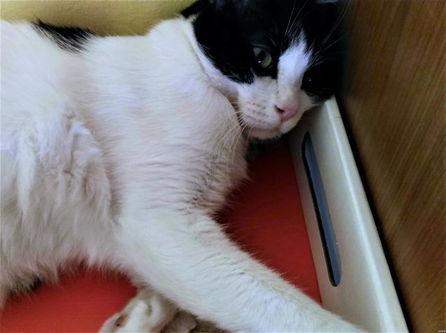 solo riposo...fa caldo