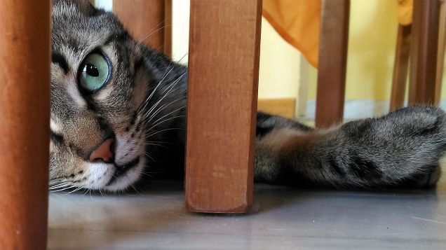 cercasi aria fresca!!!