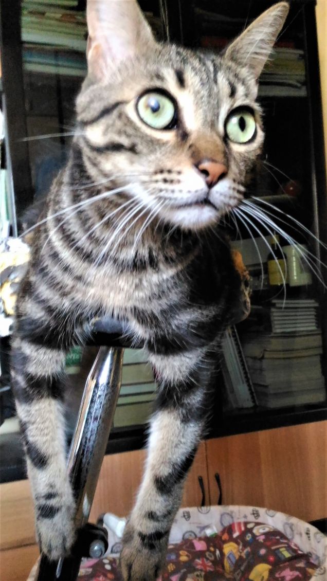 ...vista dall'alto...