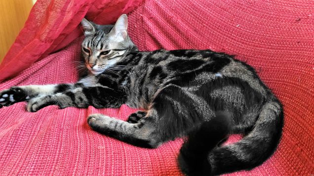 oggi è domenica...riposo!!!