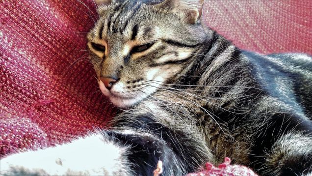 ...sto per crollare..