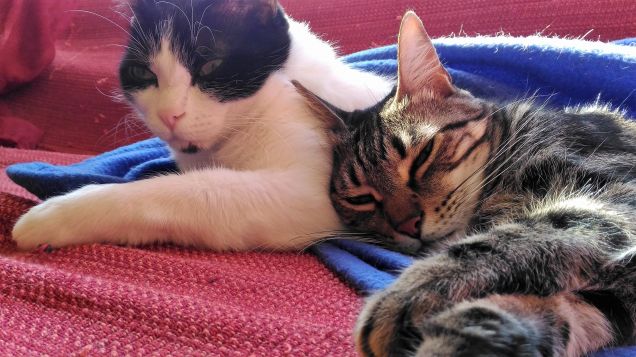 i primi rigori invernali....