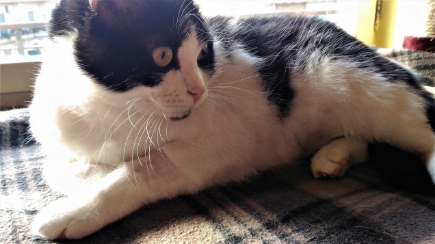 ...ho visto qualcosa!!!