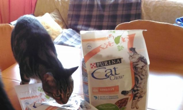 ...finalmente arrivati!!!