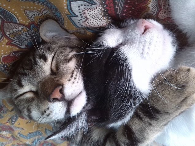 ...eravamo piccoli....