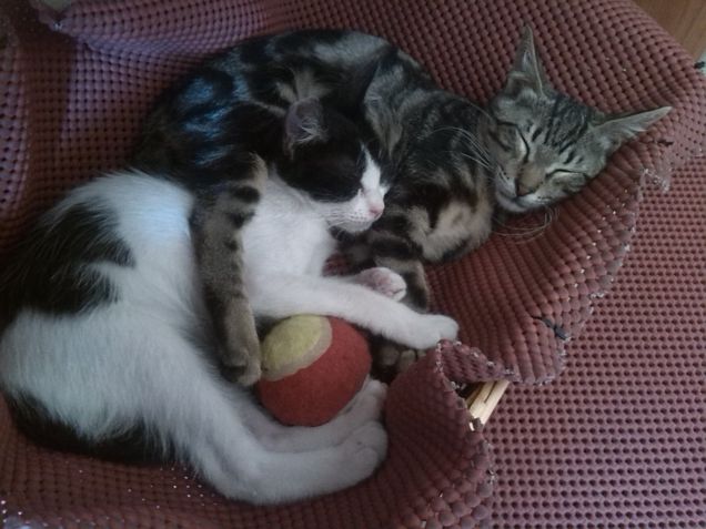 ...ricordi ....d'infanzia....1