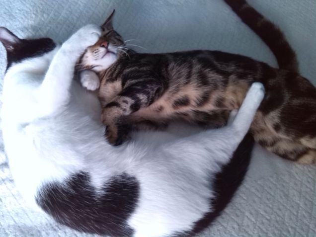 ...ricordi ....d'infanzia...2