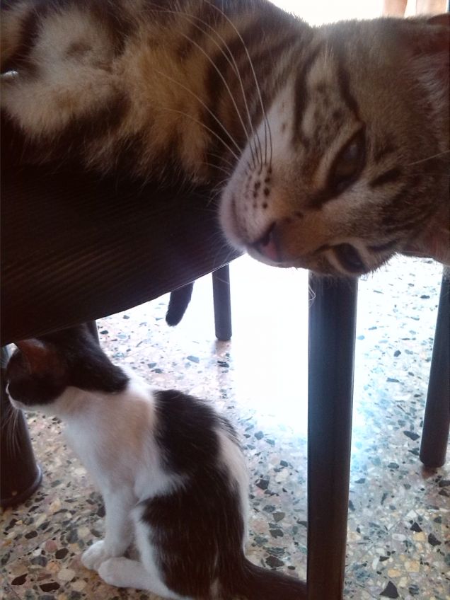 ...differenti...punti di vista...