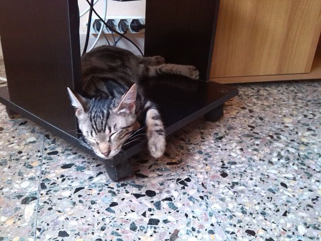 ...ken...il riposo del guerriero...