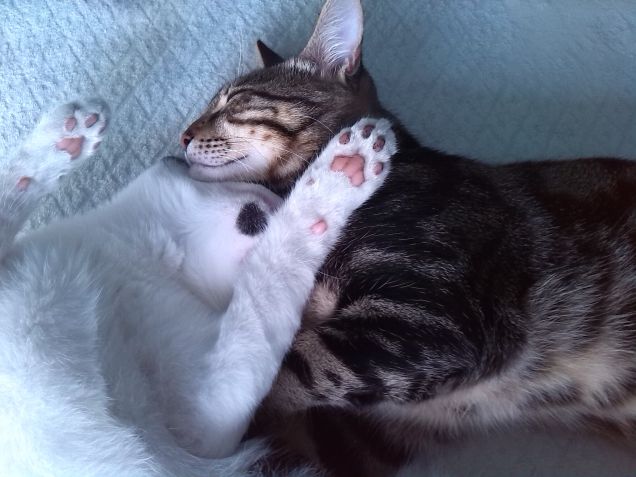 ...always together....