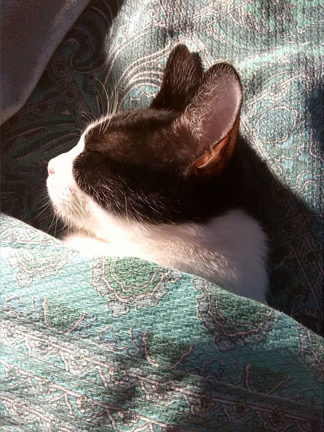 ...che freddo che fa....