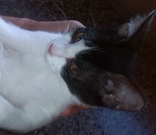 ...come ero piccolo....