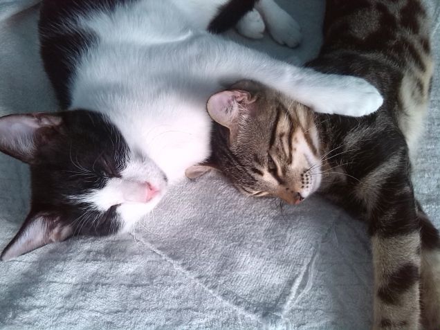 ...ricodi...d'infanzia ...3