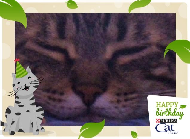 ..e dopo una festa chiassosa...me lo merito un pò di riposo!