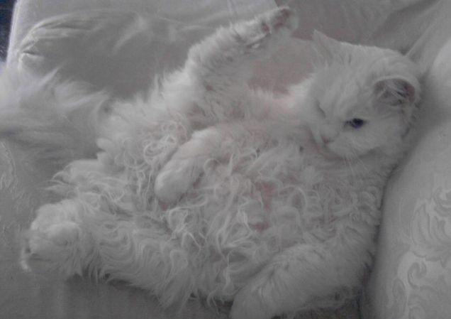 fiocco, che posizione!