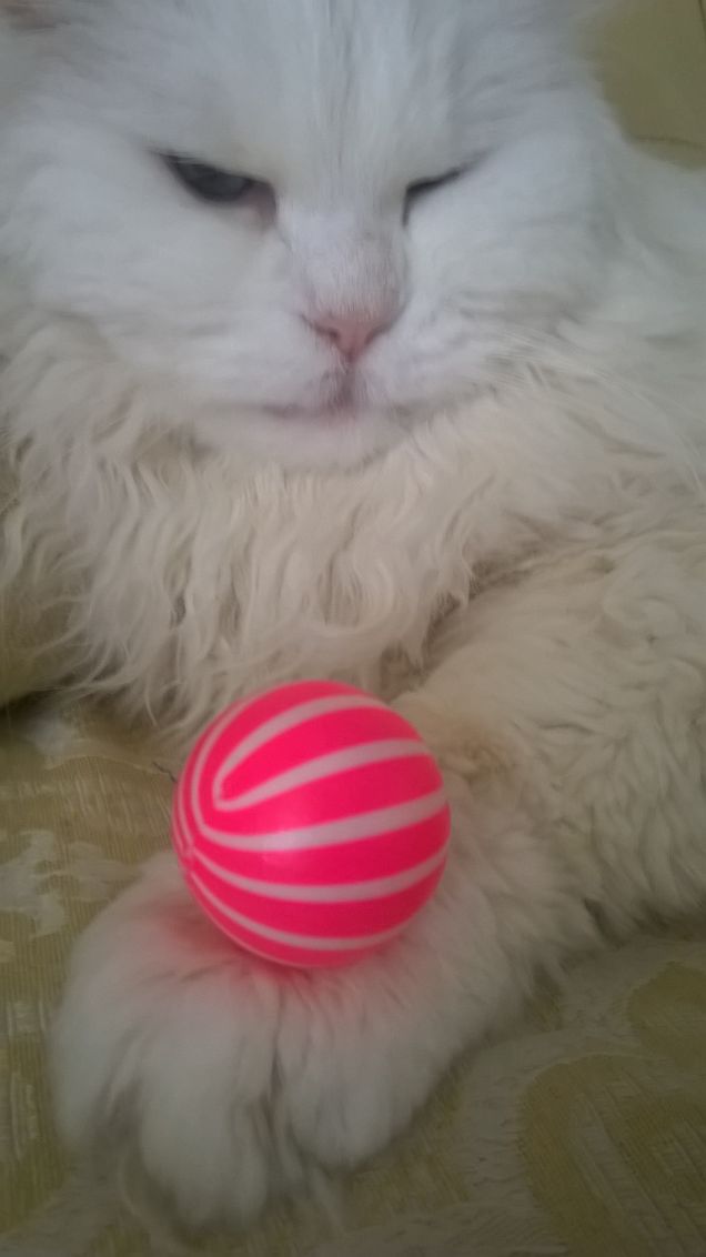 in perfetto equilibrio 