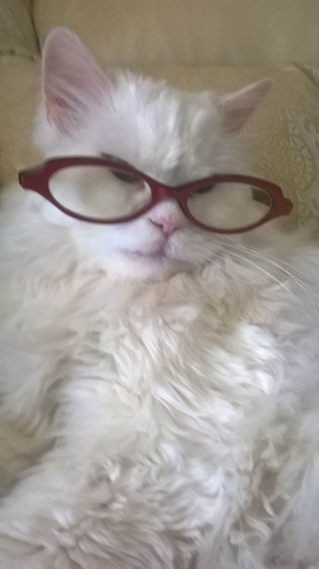 ad una certa età servono