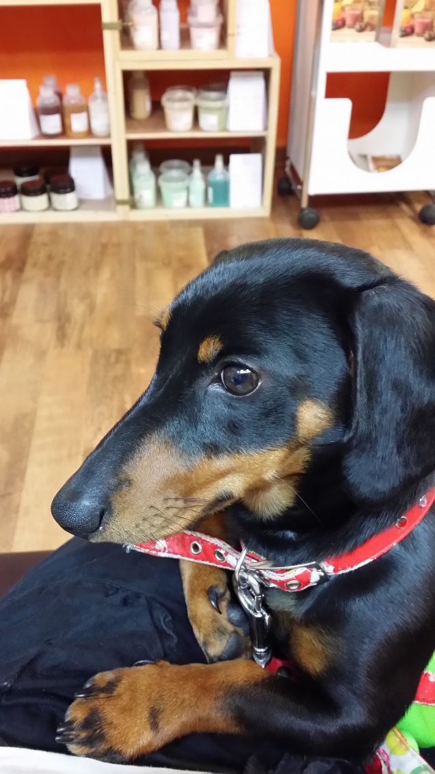 Nanà sempre insieme alla mamma!!!