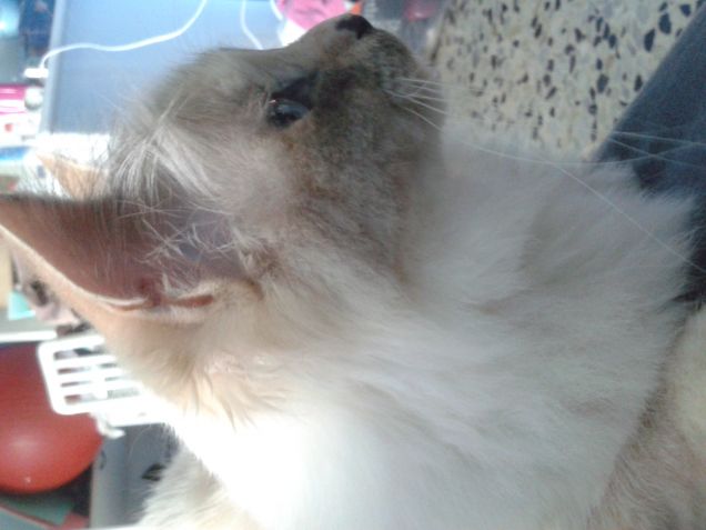 la mattina quando mi viene a svegliare!!