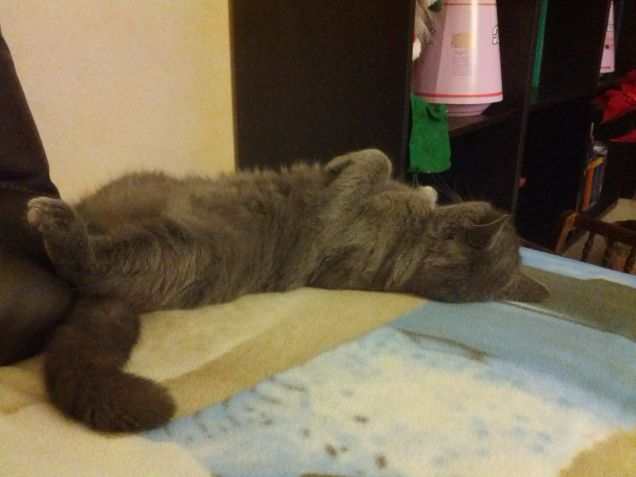 E dopo la pappa…nanna!!!!